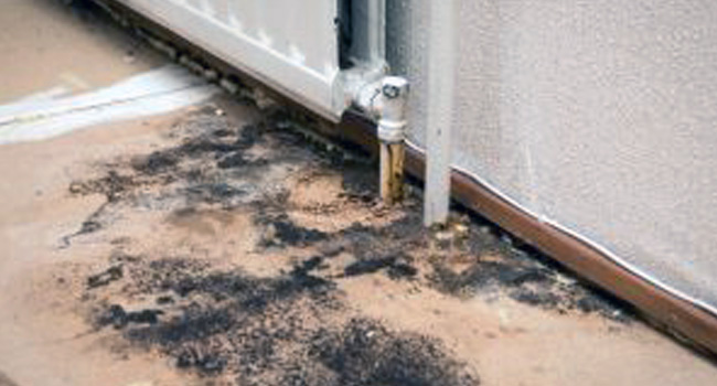 Foundation Waterproofing