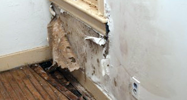 Foundation Waterproofing